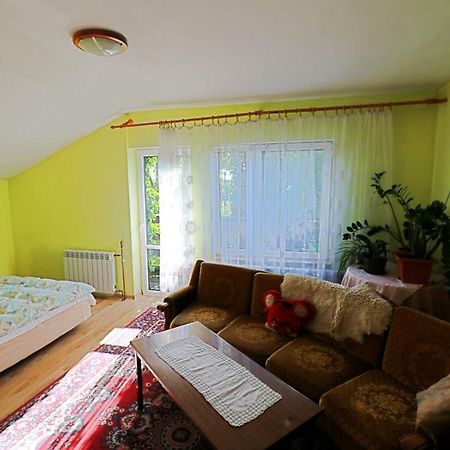 Agroturystyka Tyniok Koniaków エクステリア 写真