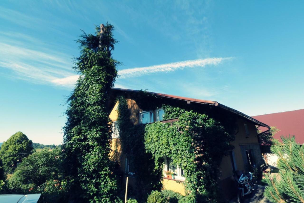Agroturystyka Tyniok Koniaków エクステリア 写真